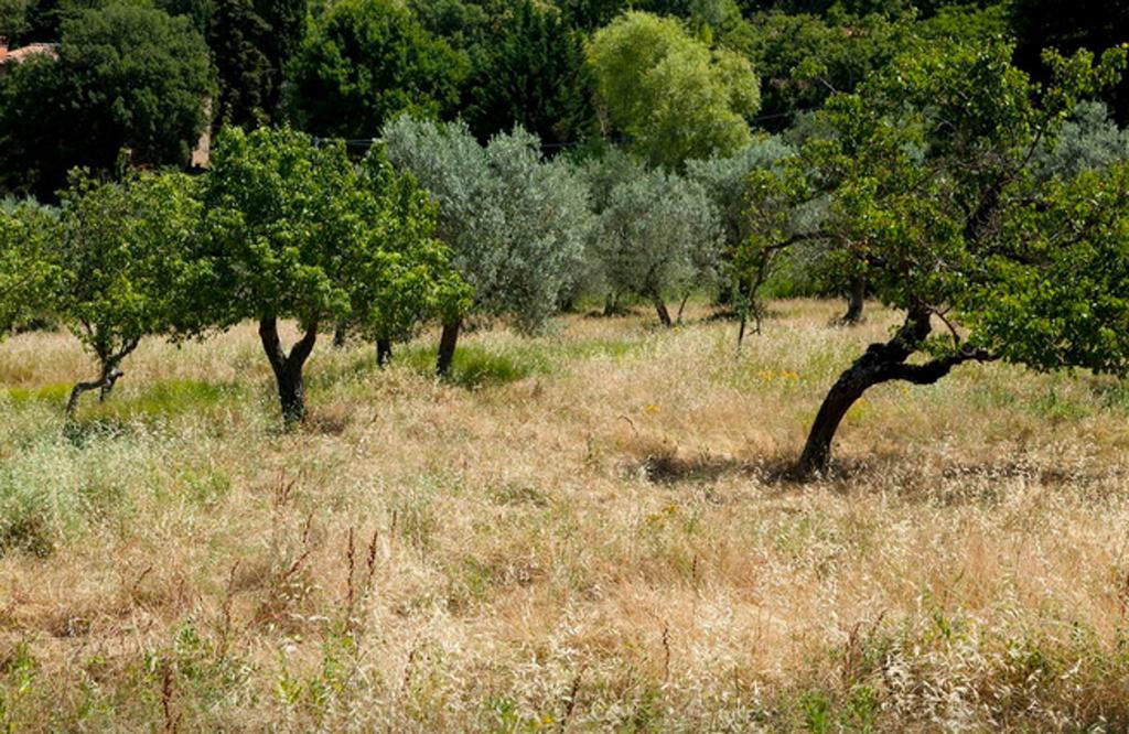 Fattoria La Tavernuzza Grassina Værelse billede